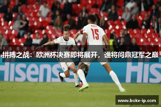 拼搏之战：欧洲杯决赛即将展开，谁将问鼎冠军之巅