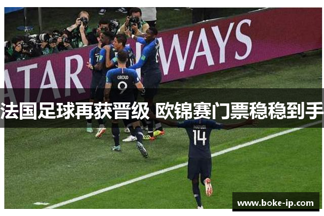 法国足球再获晋级 欧锦赛门票稳稳到手