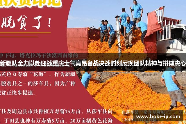 新疆队全力以赴迎战重庆士气高昂备战决战时刻展现团队精神与拼搏决心