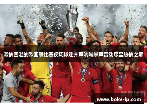 激情四溢的欧国联比赛现场球迷齐声呐喊掌声雷动尽显热情之巅