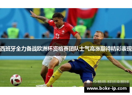 西班牙全力备战欧洲杯资格赛团队士气高涨期待精彩表现
