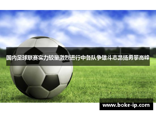 国内足球联赛实力较量激烈进行中各队争雄斗志昂扬勇攀高峰